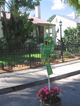 A parrot invites the folks on the tour into each of the 11 houses..