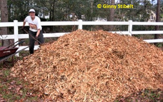 A new big pile of fresh wood chips.  Photo by Stibolt