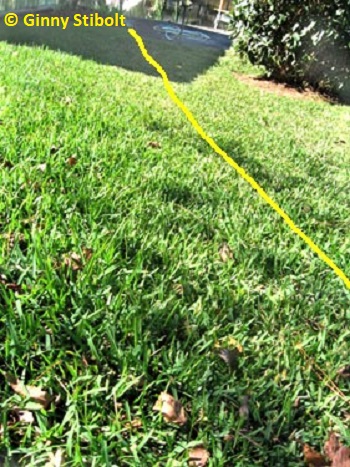 The line marks to property line.  Photo by Stibolt.
