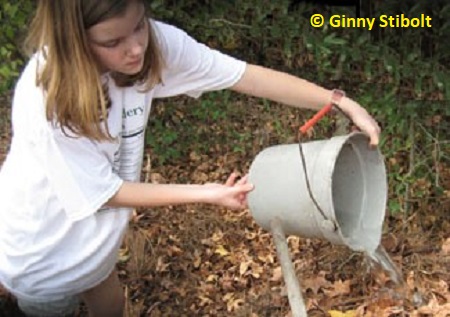 Pouring the pre-wash water onto the compost pile.  Photo by Stibolt.