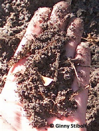 compost Photo by Stibolt