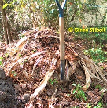 The compost pile had been added to for more than 18 months, but its size never increased.
			 The plant materials decreased in volume as it composted. Photo by Stibolt