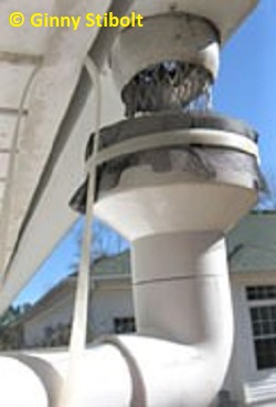 The 4" to 2" adapter covered with a scrren works to catch the rainwater from the gutter. Photo by Stibolt.