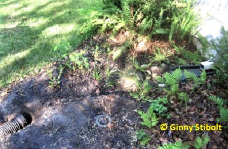 Rain garden expansion planning. Photo by Stibolt
