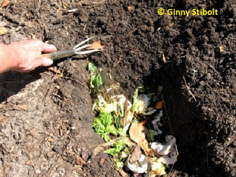 Kitchen scraps compost in place and enrich the soil.  Photo by Stibolt
