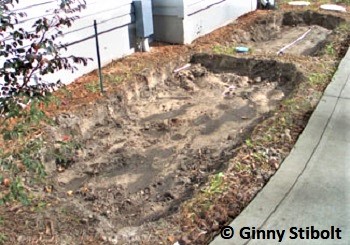We dug out the soil in the vegetable bed and replaced it with compost, horse manure, and soil.  Photo by Stibolt