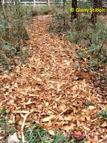 Follow the yellow mulch trail.  Photo by Stibolt.