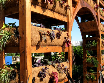 An interesting planted arbor at the US Botanical Garden.  Photo by Stibolt 