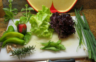Salad stuff from Ginny's garden. Photo by Stibolt