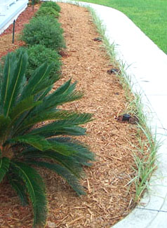 Front bed after treatment.  Photo by Stibolt