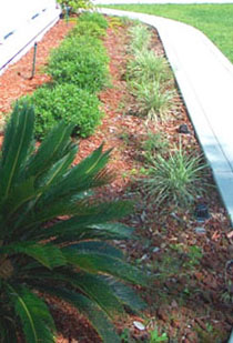 Front bed before had a real problem with weeds. Photo by Stibolt