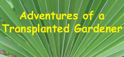 Adventures of a Transplated Gardener- Ginny Stibolt