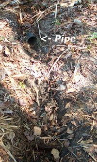 Outflow from French drain system had cause significant erosion.  Photo by Stibolt