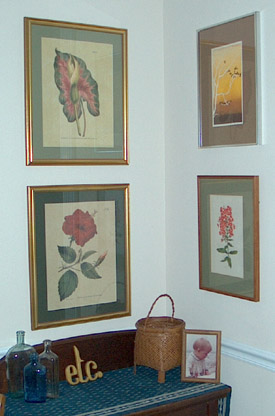 Botanical Prints of Caladium and Hybiscus on the left.  A lithograph of a bare tree and a water color of Phlox.