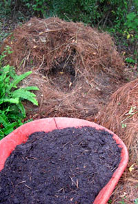 Black gold.  Compost from garden waste. Photo by Stibolt