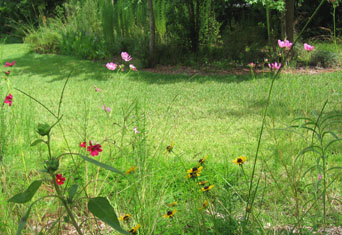 From the path on the mound you can see the shady triangle meadow.  Photo by Stibolt.