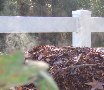 A day after being shoveled to a new location, the mulch was streaming.  Photo by Stibolt