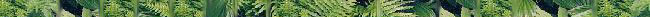 greenery bar