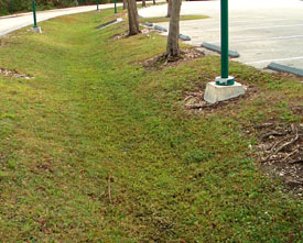 Boring and hard to maintain drainage ditch between parking areas. Photo by Stibolt