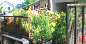 Arrival of the plants - Photo by Stibolt