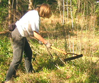 Hand chopping growth in the front meadow.  Photo by Stibolt 