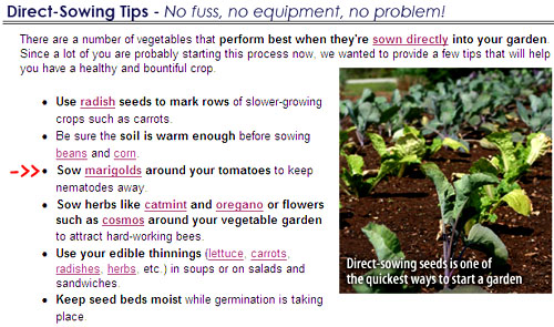 From Park Seeds email.  They promote an old gardeners' tale instead of the science.