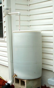 Single rain barrel near vegetable garden.  Photo by Stibolt.