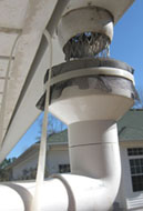 The 4" to 2" adapter covered with a scrren works to catch the rainwater from the gutter. Photo by Stibolt.