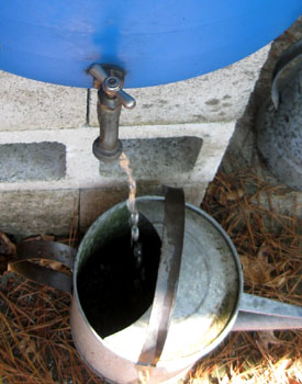 The last drops from a rain barrel. Photo by Stibolt