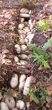 Rocks now prevent erosion from this outflow.  Photo by Stibolt