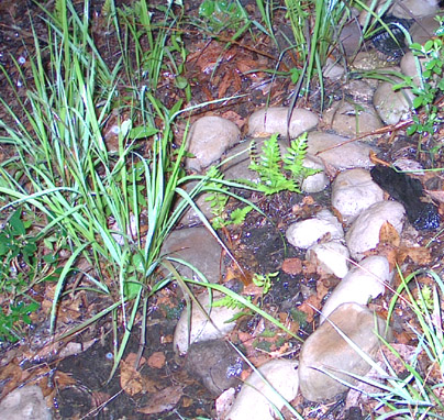 Rain garden at work - stones prevent erosion and create a pooling area at the bottom before water is released to the pond.  Phot by Stibolt
