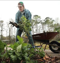 Ginny Stibolt was featured in a USA Today spring gardening story.  Photo by Bob Self.