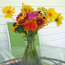 Bouquet from Ginny's yard.  Photo by Stibolt