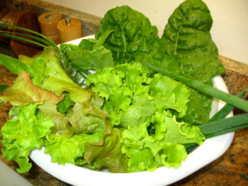 Greens and herbs gathered on New Year's Day!  Photo by Stibolt