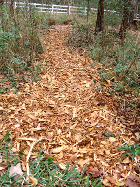 Follow the yellow mulch trail.  Photo by Stibolt.